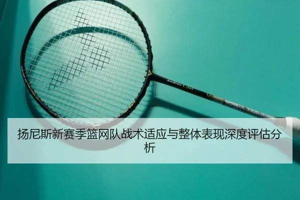 扬尼斯新赛季篮网队战术适应与整体表现深度评估分析